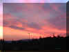 2002_0515_204226AA.JPG (28193 byte)