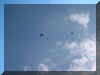 2004_0306_153719AA.JPG (30586 byte)