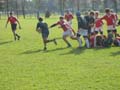 IMG_1940