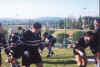 Senza titolo-7.jpg (45272 byte)
