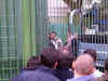 PIC_0108.JPG (181795 byte)