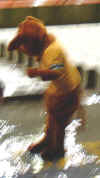 2002_1123_173912AA.JPG (40578 byte)