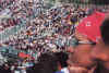 12.JPG (87411 byte)
