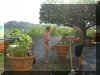 2002_0526_180524AA.JPG (71454 byte)