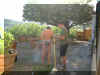 2002_0526_180541AA.JPG (76217 byte)