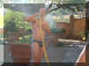 2002_0526_180559AA.JPG (67798 byte)