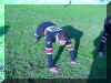 DSC01018.JPG (108768 byte)