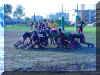 DSC01023.JPG (125053 byte)